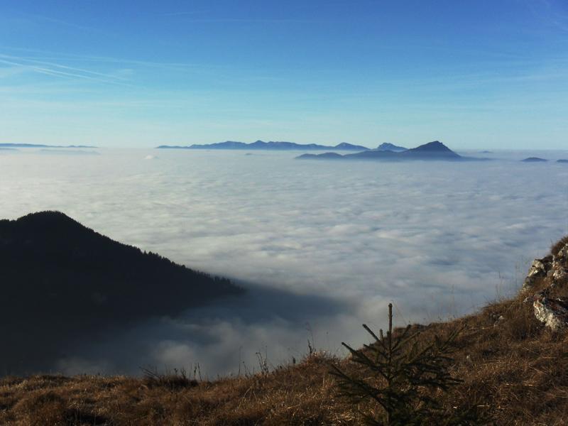 Chata Havran ลิปโตว์สกียาน ห้อง รูปภาพ